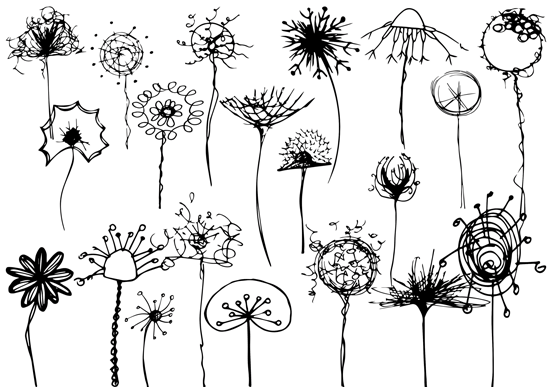 550x387 Dandelions