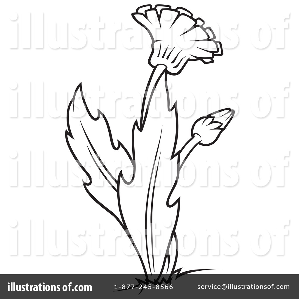 1024x1024 Dandelion Clipart