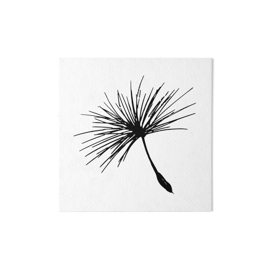 900x900 Dandelion Seed Pencil Sketch Art Boards By Mila Che Redbubble