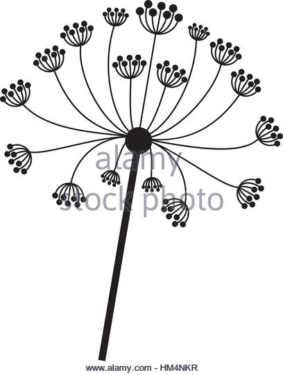 408x540 Silhouette Dandelion Stem Pistil Vector Stock Photos Amp Silhouette