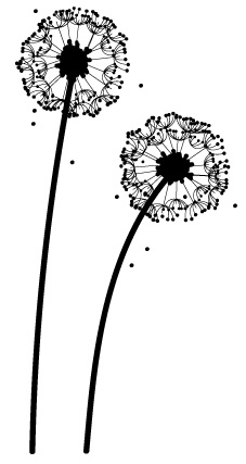 227x427 Claire Ducharmewelcome