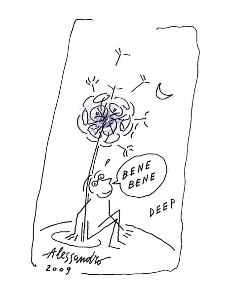 460x600 Dandelion Collection