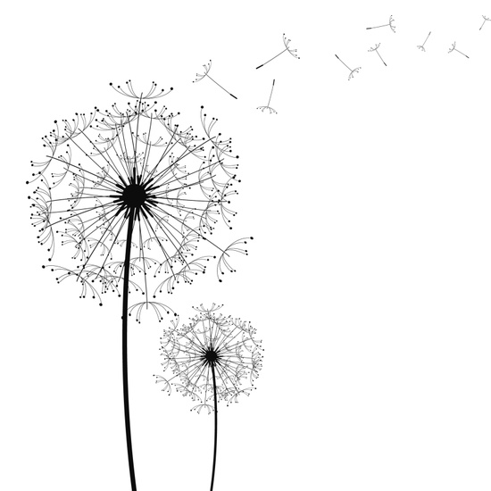 550x550 Drawn Dandelion Heart Many Interesting Cliparts