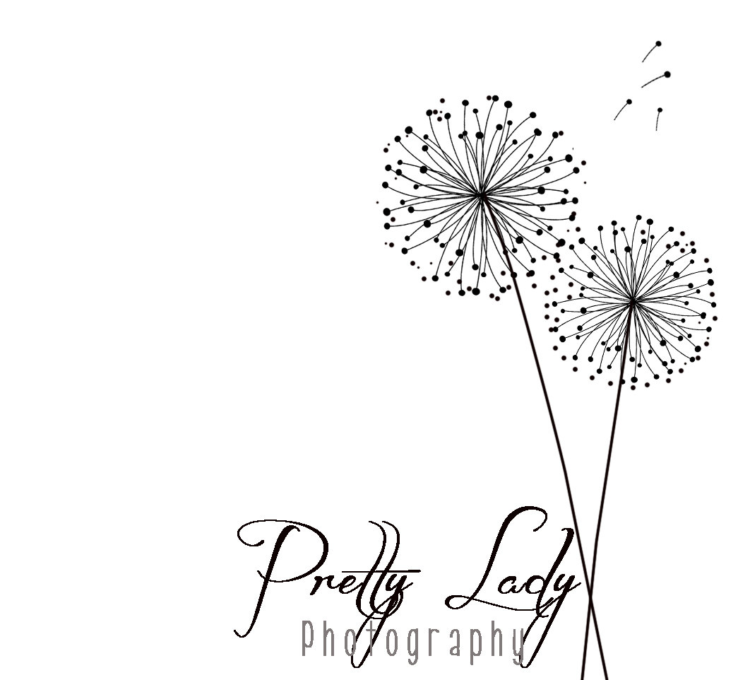 1062x962 Drawn Dandelion Graphic