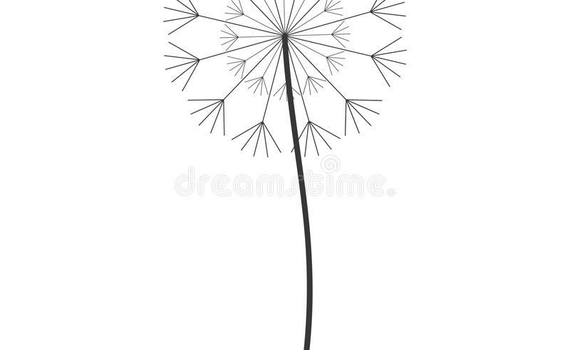 800x491 Seed To Flower Icon Gardening Flower And Vegetables