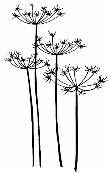 378x600 Seedhead 3 Ready Made Screen To Buy Idea For Texture Plate Even