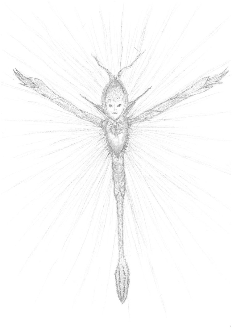 752x1063 Sylph Spiderwick Chronicles Wiki Fandom Powered By Wikia