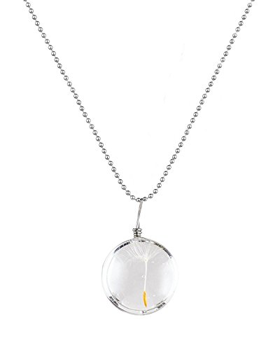 400x500 Buy Young Amp Forever Lucky Me Enchanted Forest Dandelion Seed Make