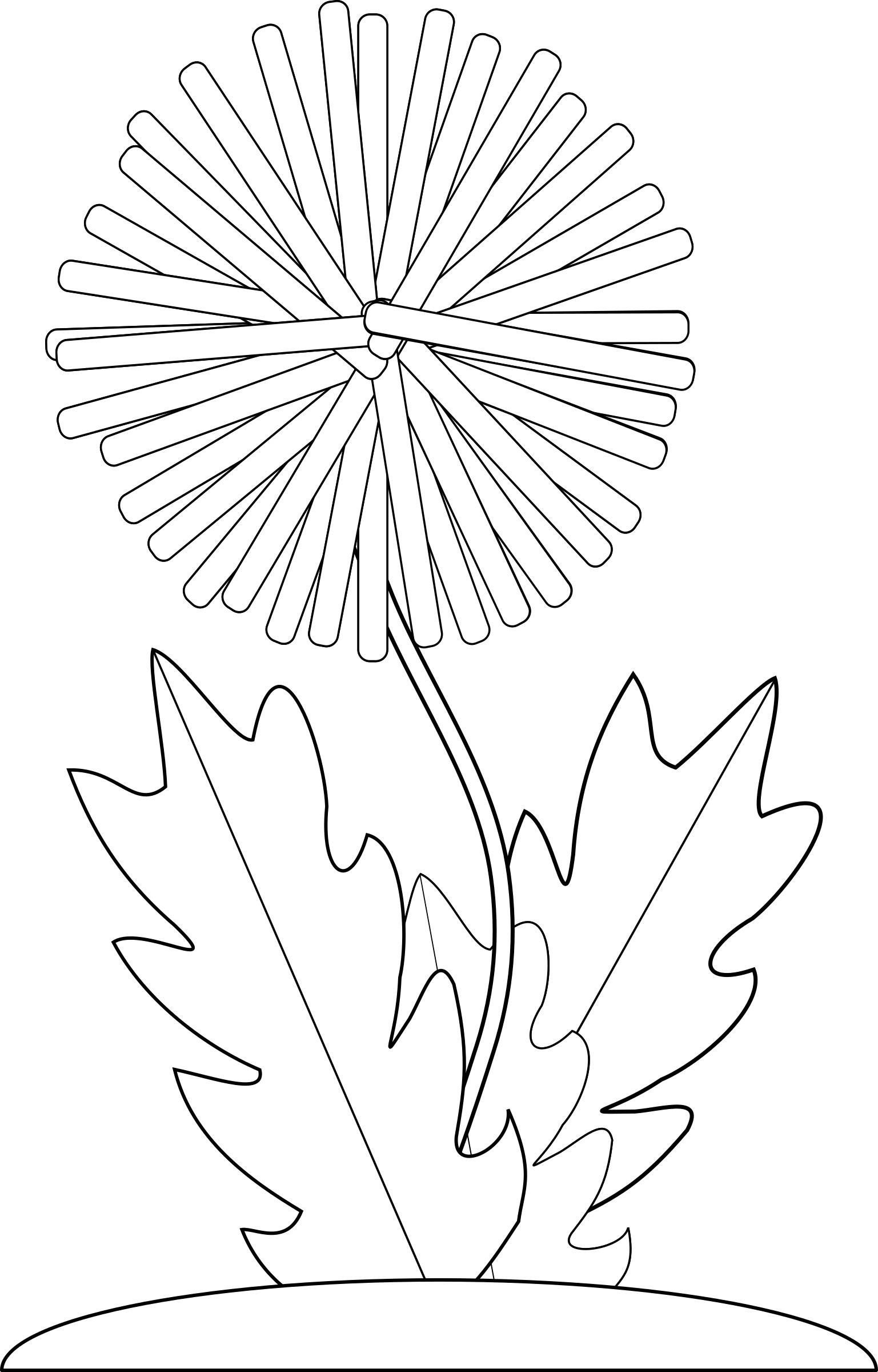 1537x2400 Dandelion Seed Head Icons Png