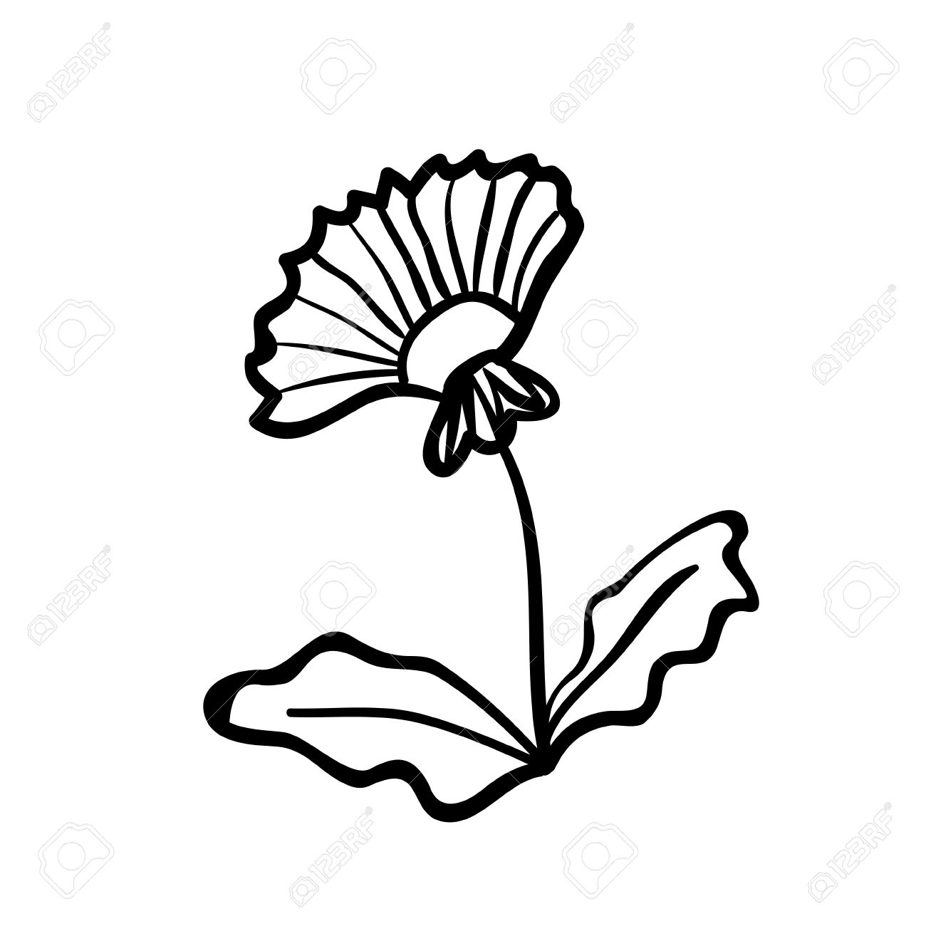 1300x1300 Dandelion Sketch Drawing Dandelion Luv2draw