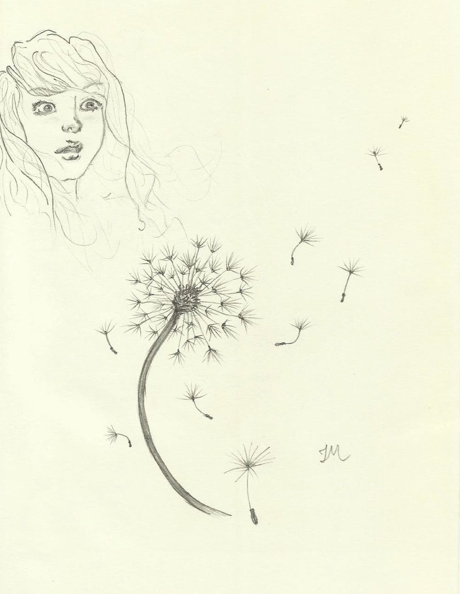 900x1161 Dandelion Sketch By Inesmargarida