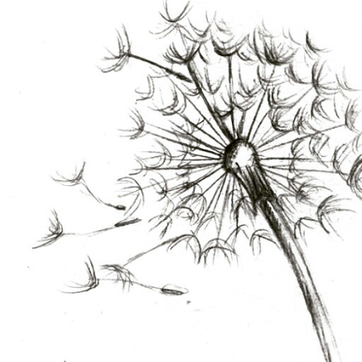 512x512 Image About Cute In Epic Drawings By Icecream6546