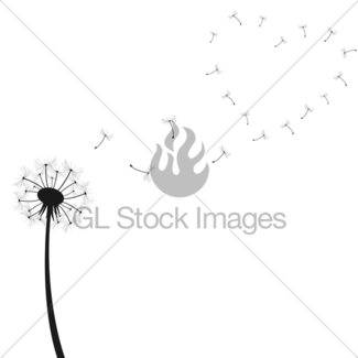 325x325 Vector Illustration. Dandelion. Black Outline Sketch Gl Stock Images