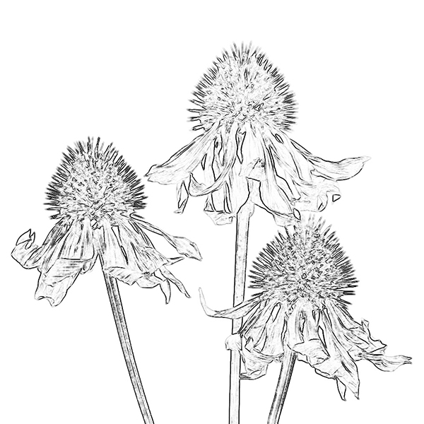 600x600 Creating Beyond The Layers January 2017