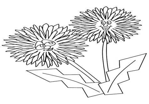 476x333 Dandelion Coloring Page Dandelions Dandelion By Don Freeman