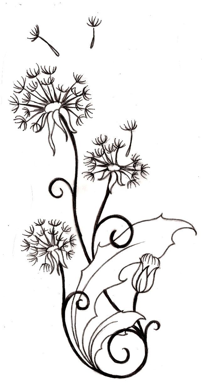 644x1240 Dandelion Tattoo 1 By ~metacharis