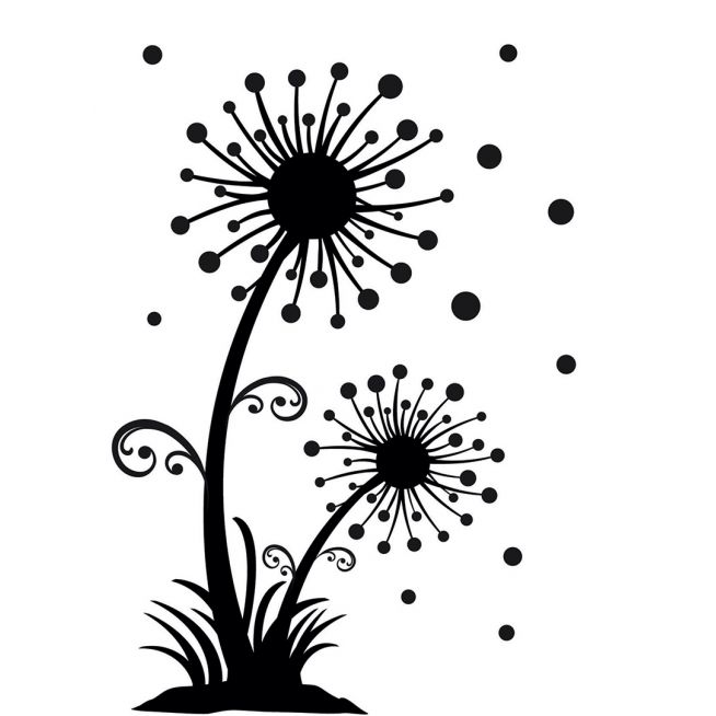654x654 Pics For Gt Black And White Dandelion Drawing Canvas Art