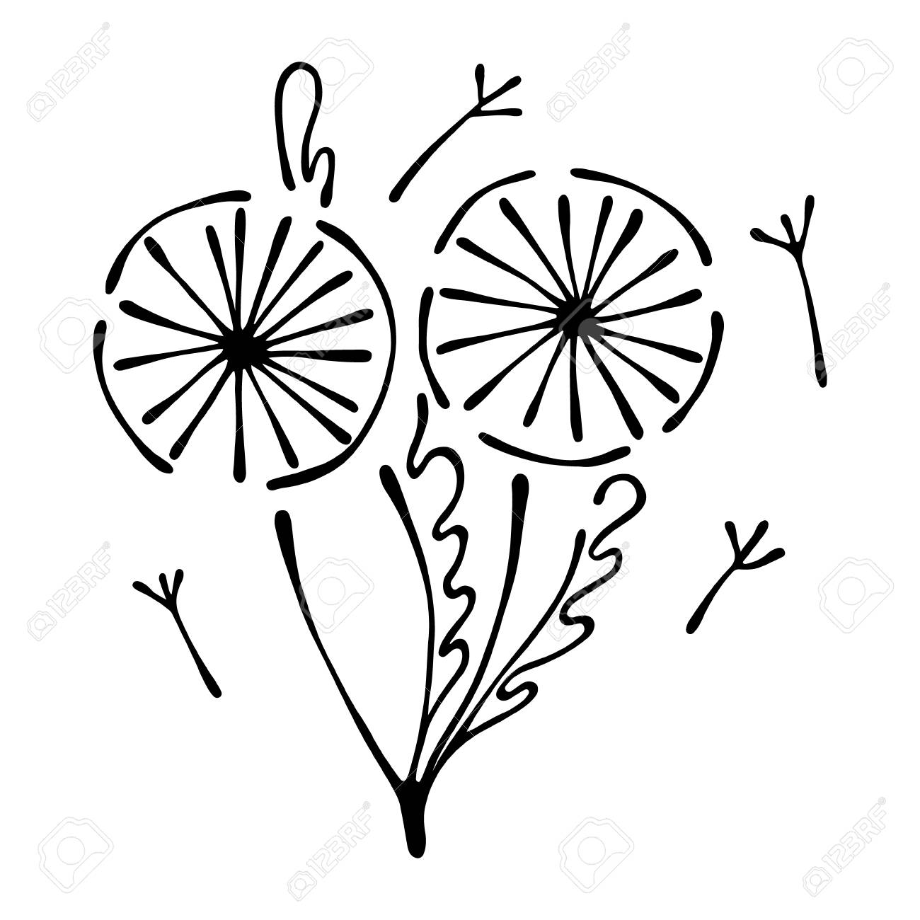 1300x1300 Vector Floral Illustration Of Dandelions With Leaves, Decorative