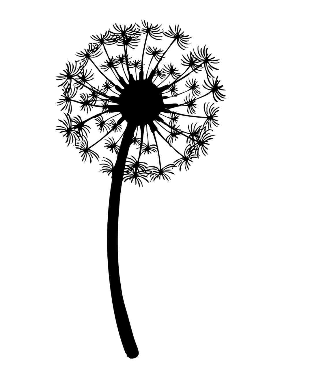 1119x1298 Dandelion Blowing Drawing Tumblr