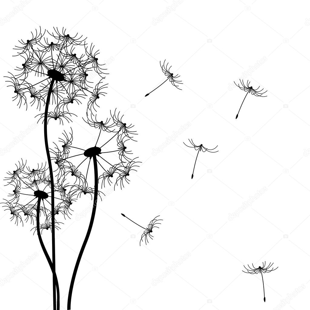 1024x1024 Dandelions Stock Vectors, Royalty Free Dandelions Illustrations