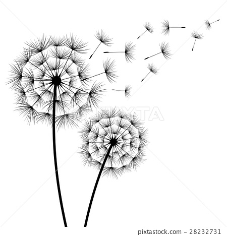 450x468 Two Flowers Dandelions Silhouette