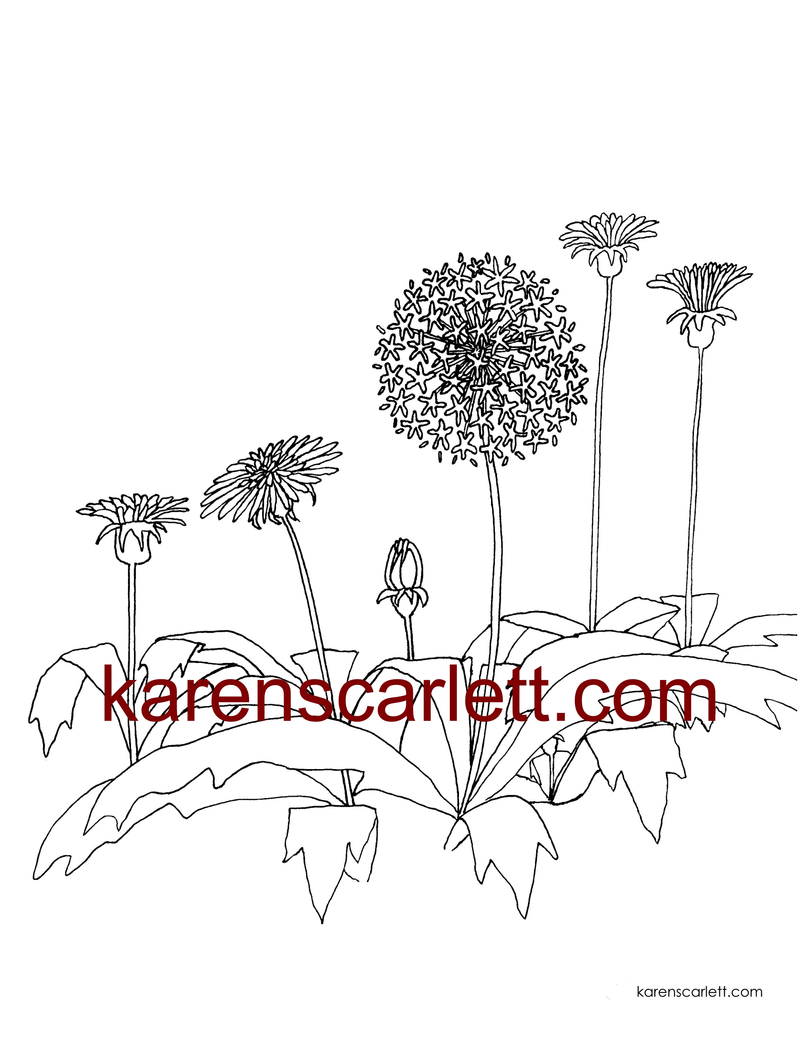 2625x3375 Colouring Book Of Canada Karenscarlett