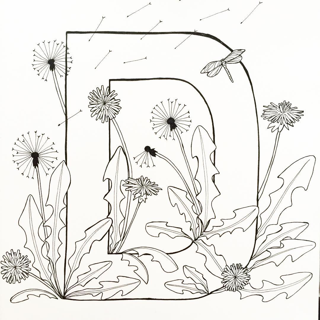 1080x1080 D Is For Dandelion!