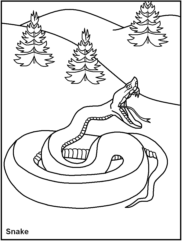 748x989 Free Printable Dangerous Animal Coloring Pages