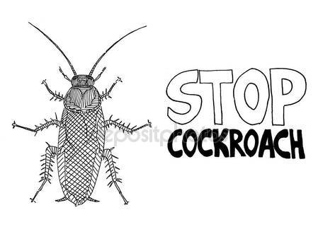 449x321 Black White Sketch Cockroach Stop Dangerous Stock Vector