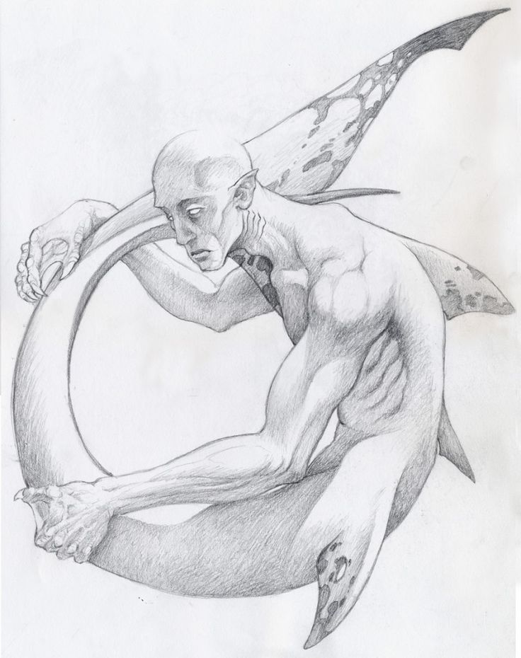 736x930 7 Best Merman Images On Merman, Merfolk And Mermaids