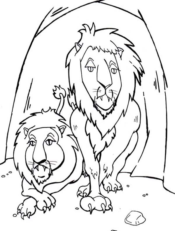 600x788 The Lions In Daniel In Daniel And The Lions Den Story Coloring