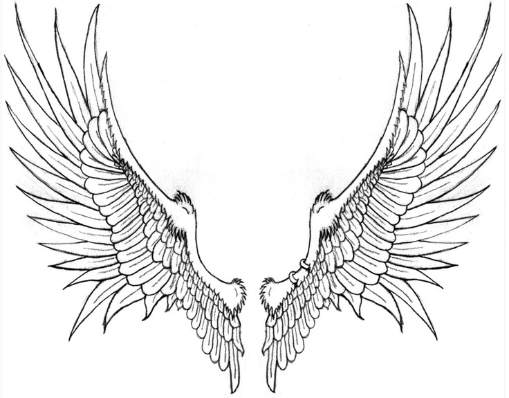 Dragon Wings Drawing at GetDrawings | Free download