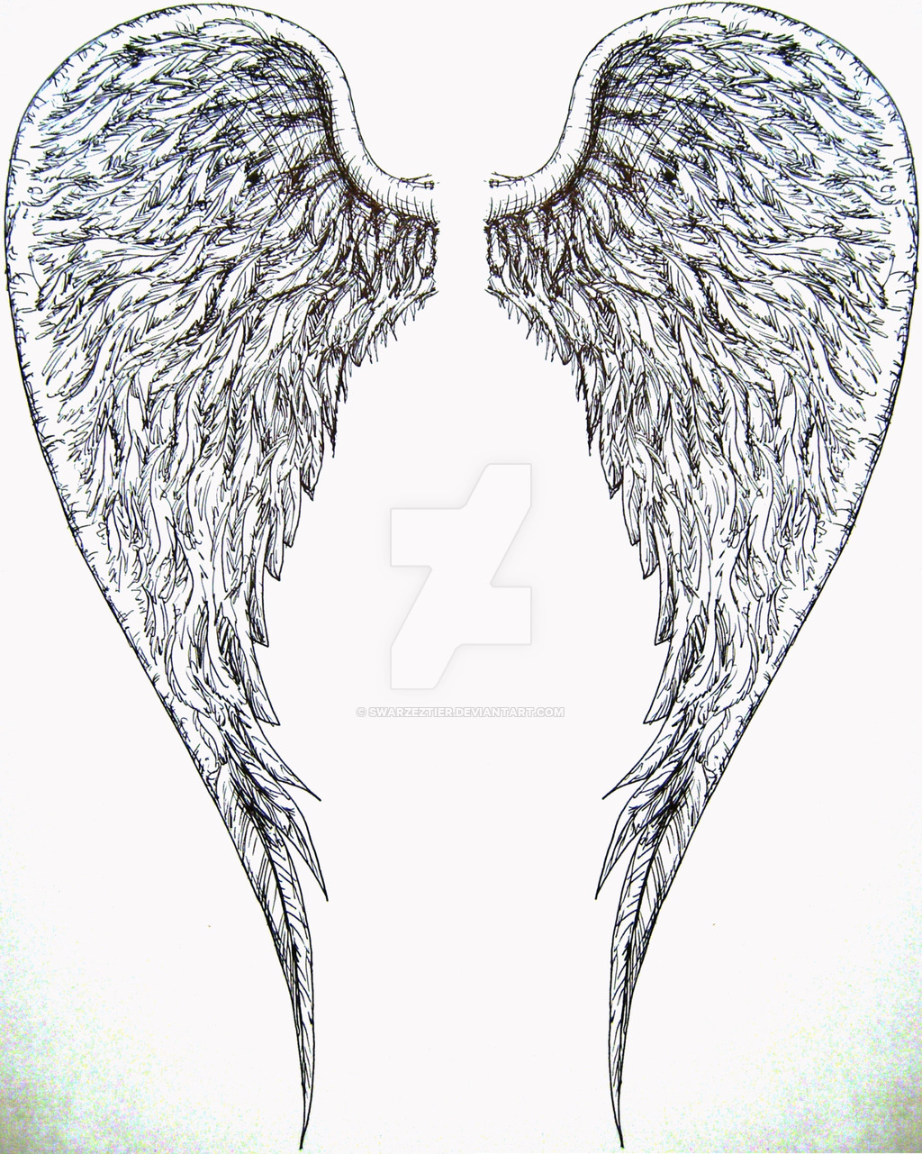 1024x1281 Angel Wings By Swarzeztier