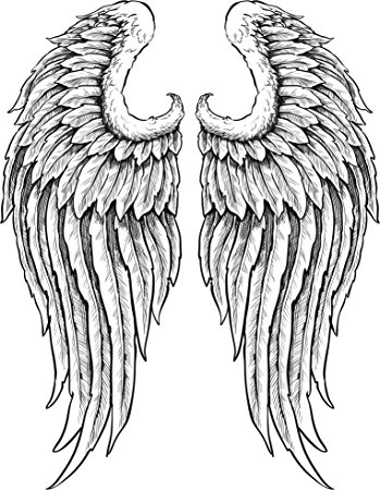 349x450 Angel Wings Black And White Collection