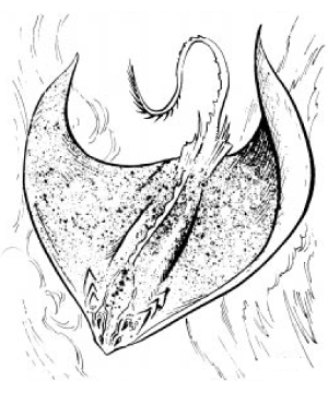 300x360 Cloud Ray (Monstrous Manual)