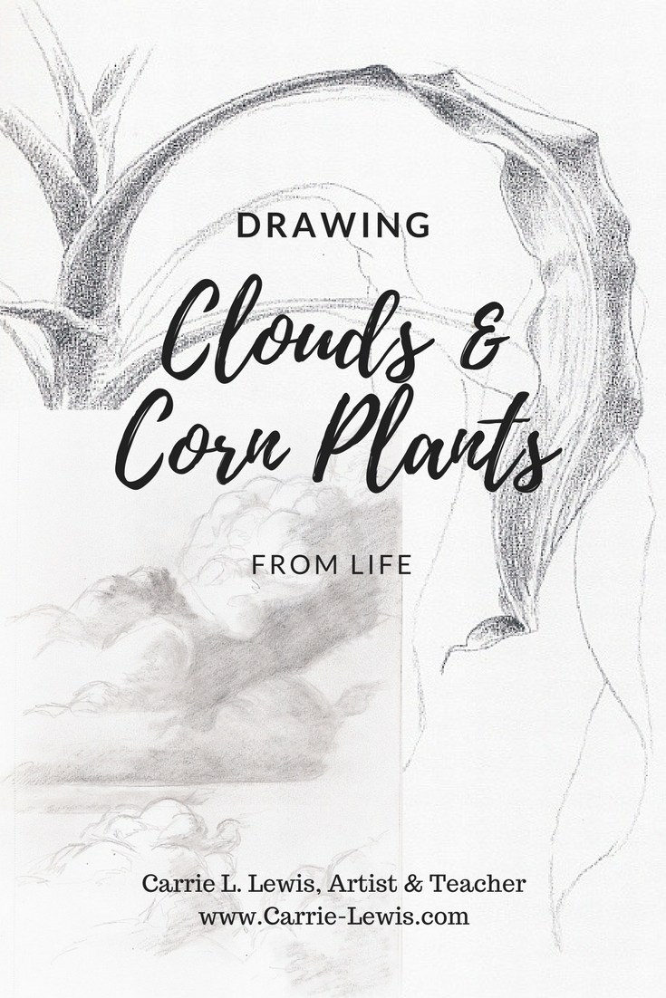 735x1102 Drawing Clouds Amp Corn Plants From Life
