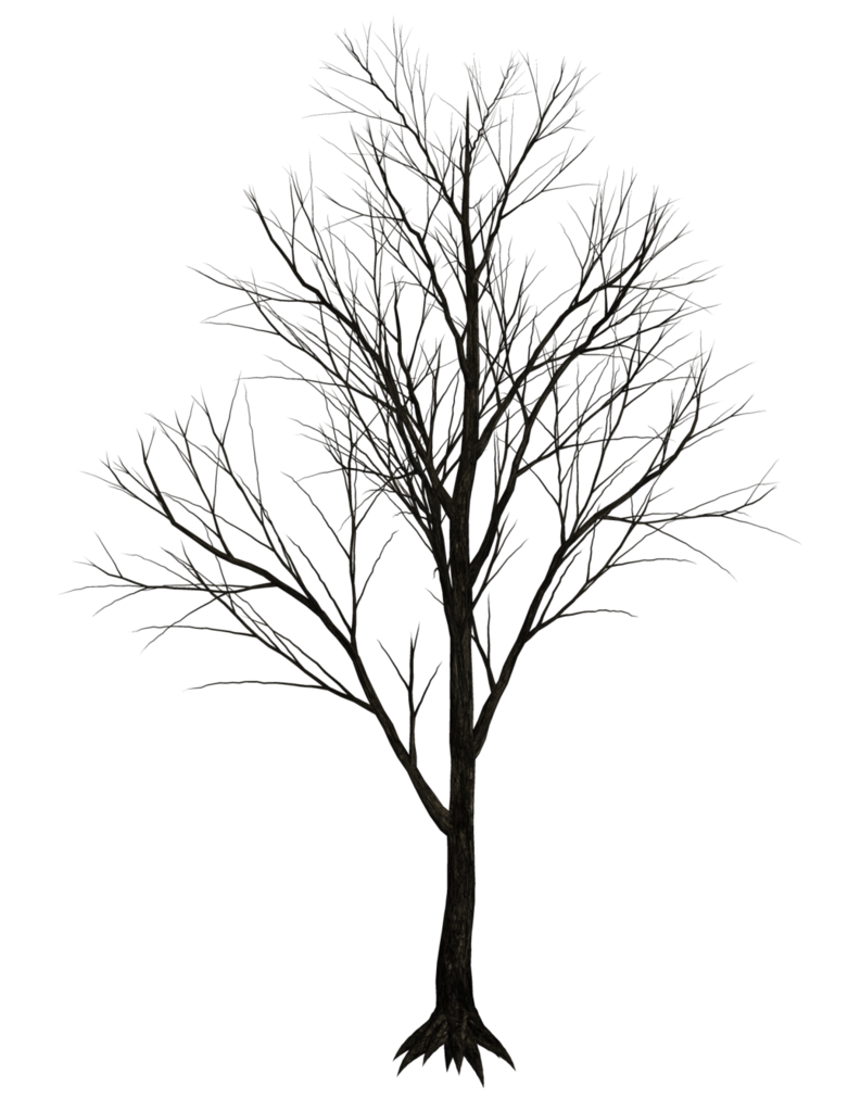 781x1023 Dark Trees Png Stock 07 By Roys Art Design Inspiration