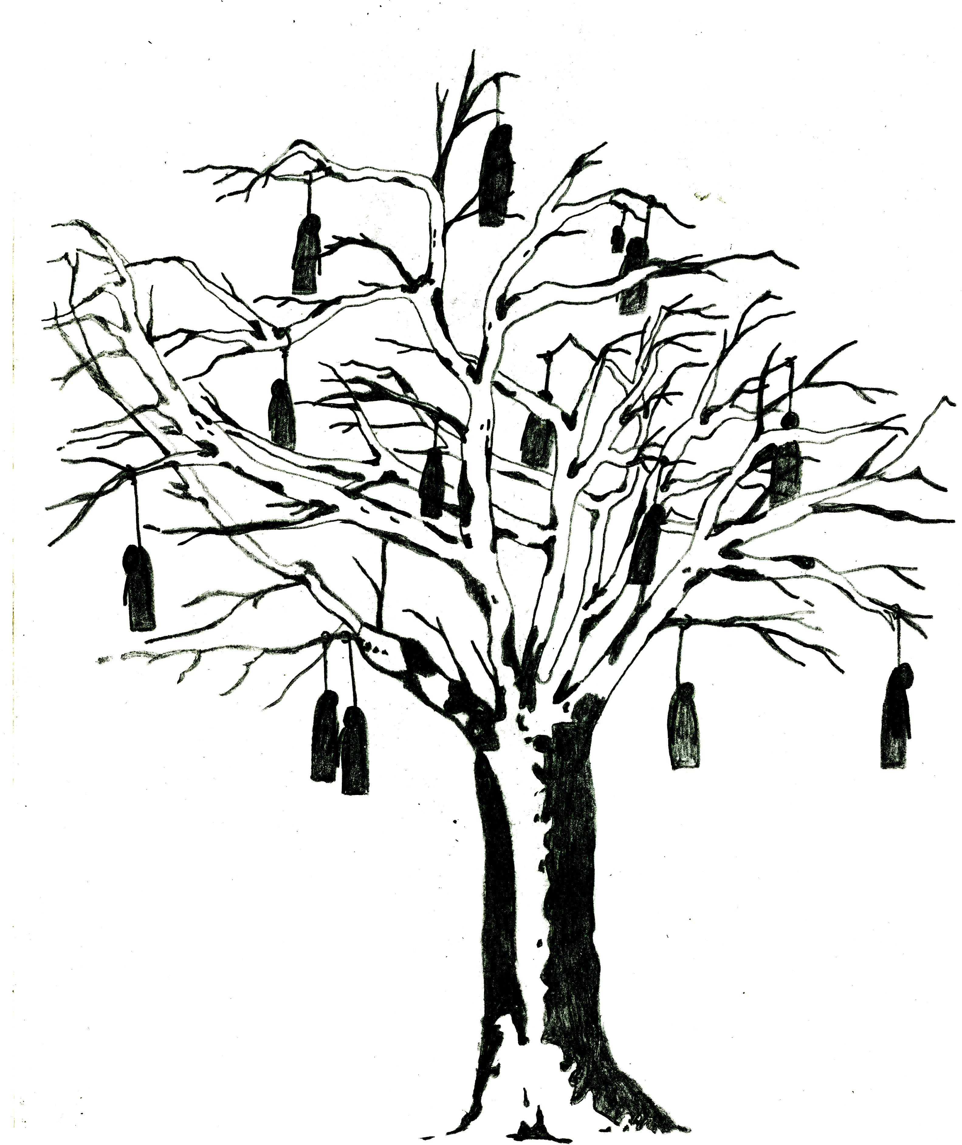 3166x3768 Family Tree Idea Beginning Mscragg Illustration