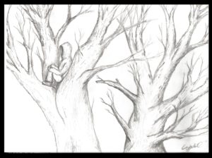 300x224 Homeschool Art Drawing Trees