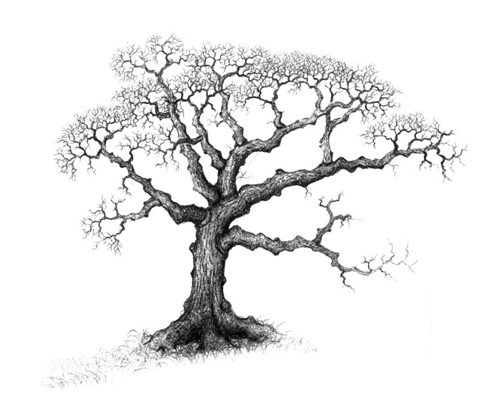 700x580 The Adventures Of Codybcleo And Friends Cherocraft