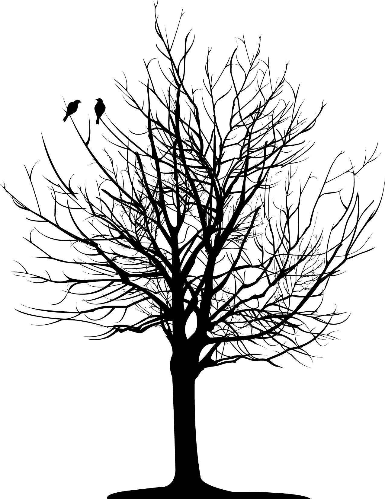 1275x1654 Christopher Allan Poe