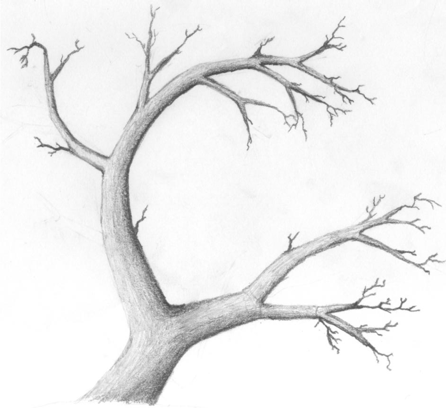 900x825 Dark Tree Drawing Really Slick! Craft Art Drawing ,lettering