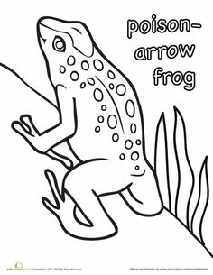 236x305 Clip Art Frogs Pasco Poison Dart Frog (Coloring Page)