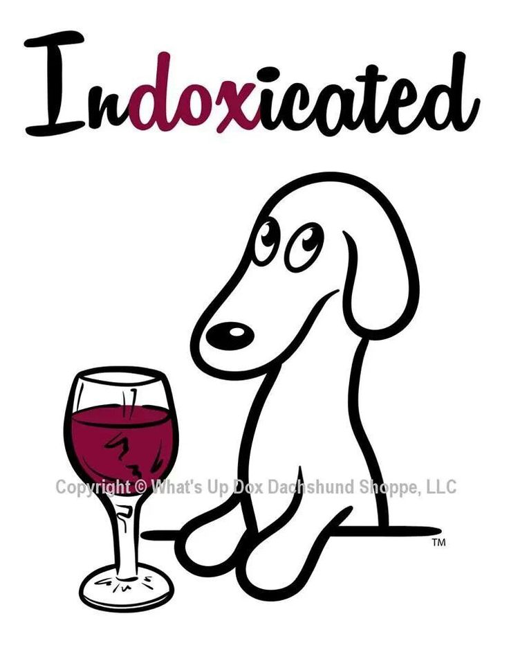 736x952 22 Best Dachshund Images On Dachshund Dog, Little Dogs