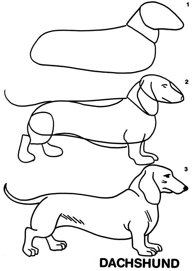 650x910 25 Best How To Draw A . Images On Draw Animals