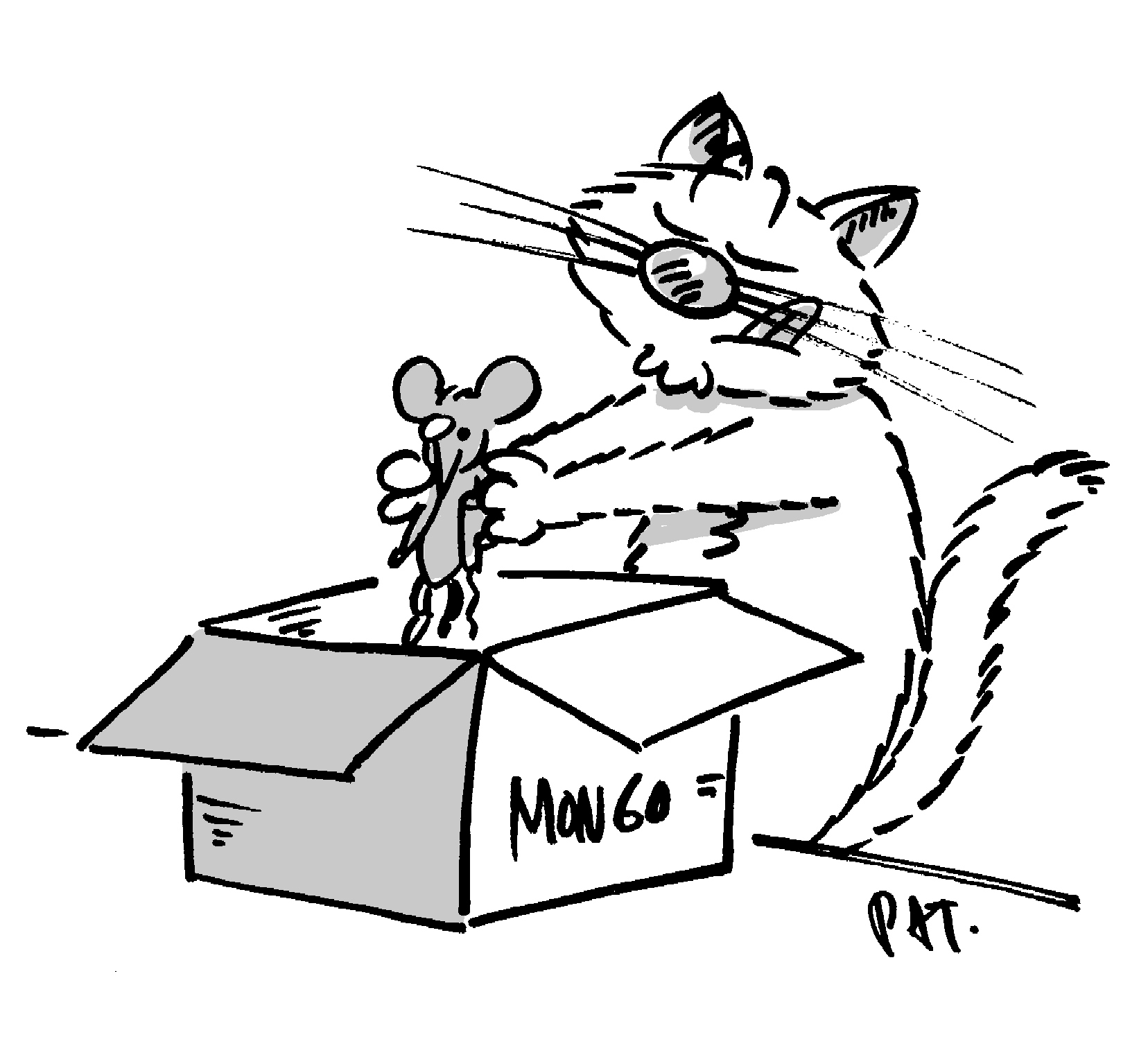 1656x1512 Day 11 Store Your Data In Mongodb Librecat