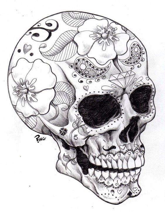 563x723 Day Of The Dead Skeleton Drawing
