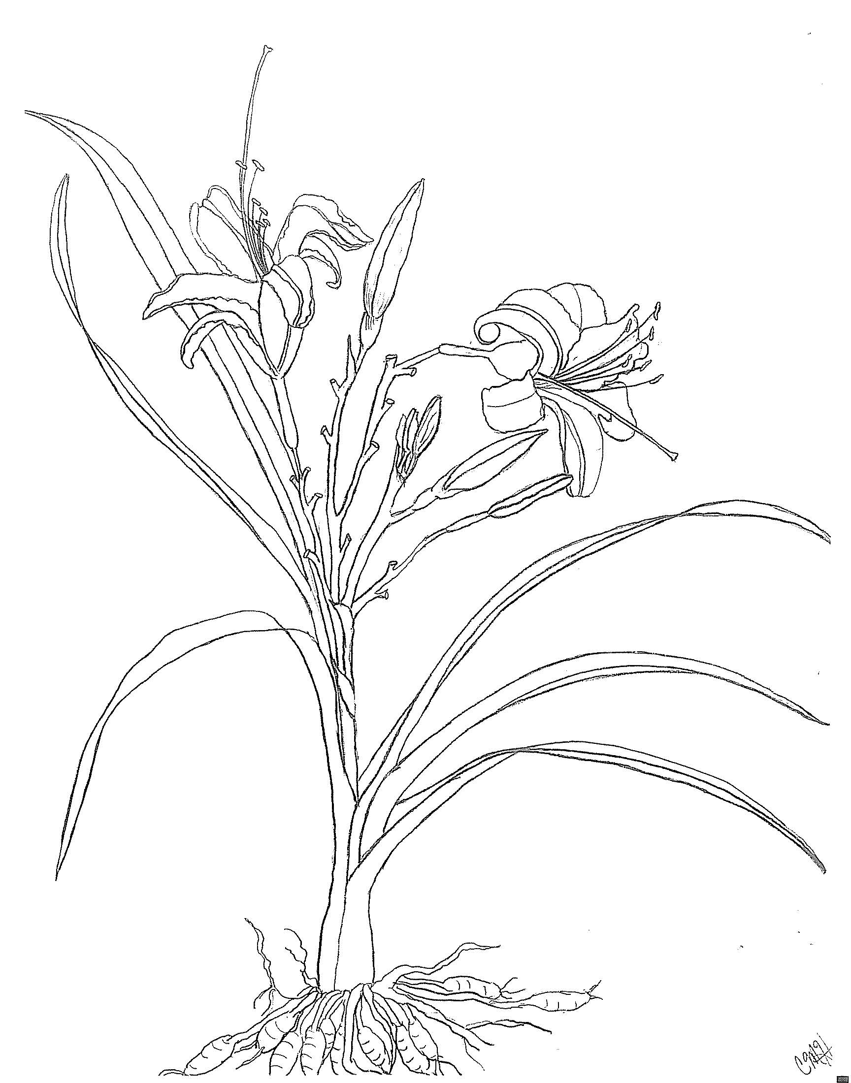 1728x2200 Inspiration Education Amp Nature