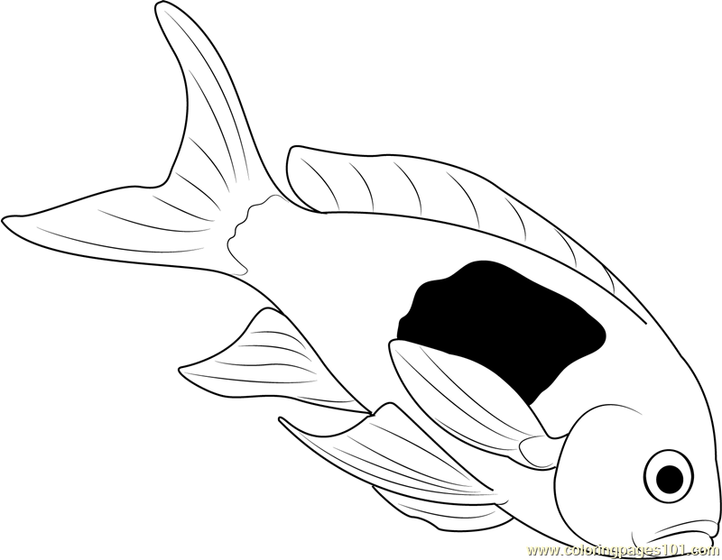 800x621 Dead Fish Coloring Page