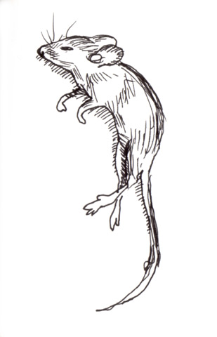 309x480 I Am Very Tall The Case Of The Dead Mice